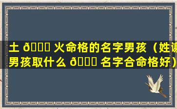 土 🐈 火命格的名字男孩（姓谢男孩取什么 🐛 名字合命格好）